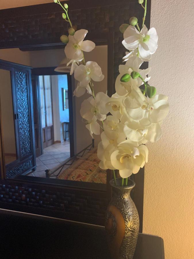 טואורו סול טראסימנו Agriturismo Annibale מראה חיצוני תמונה