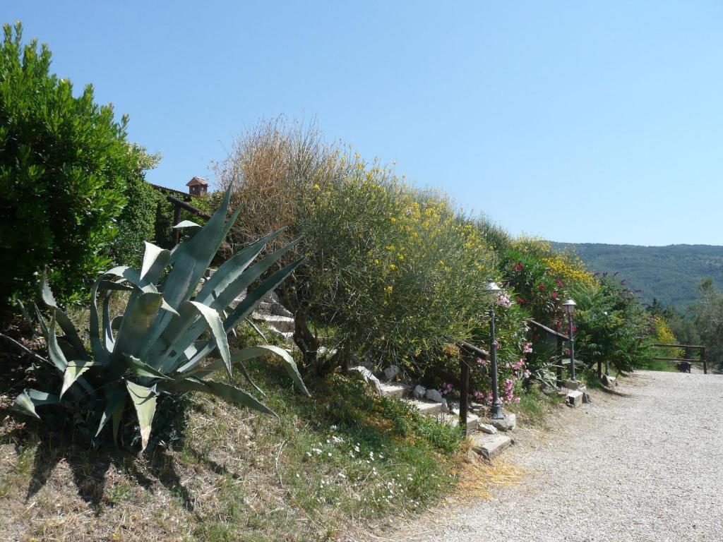 טואורו סול טראסימנו Agriturismo Annibale מראה חיצוני תמונה